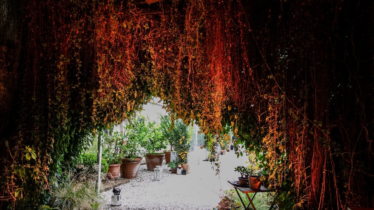  - ACCAELLE Events | Organizzazione eventi e Wedding planner