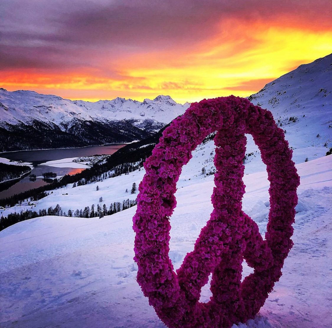 Peace symbol made of purple flowers and snow-capped mountains in the background at sunset - ACCAELLE Events | Organizzazione eventi e Wedding planner
