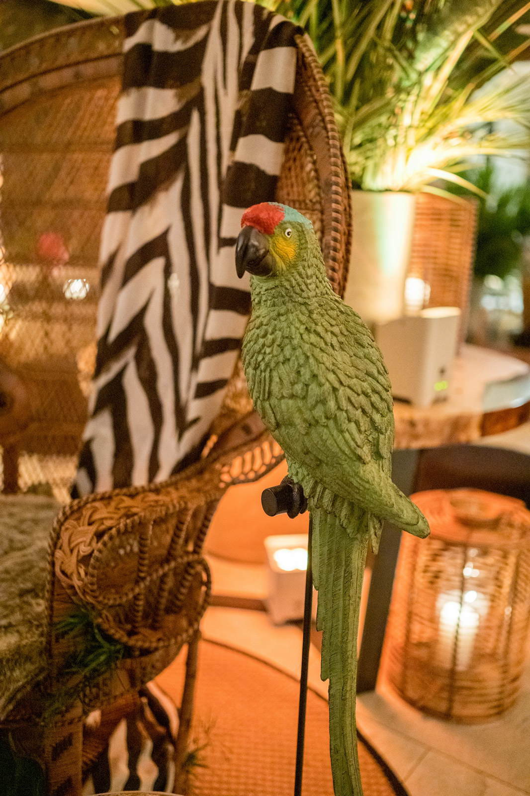 Green parrot statue in an exotic setting with wicker chair, plants and zebra details. - ACCAELLE Events | Organizzazione eventi e Wedding planner